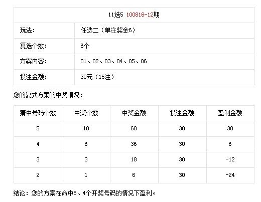 新奥天天免费资料单双中特，释义解释与落实引进