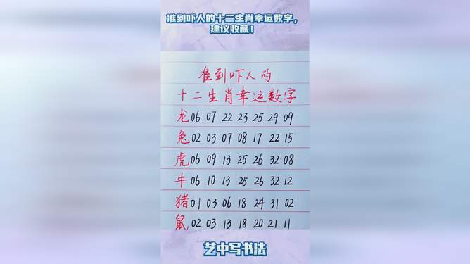 揭秘十二生肖与数字码，2025年的损益释义与落实展望