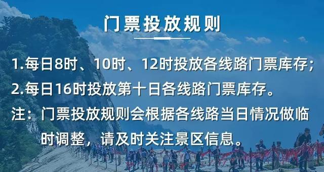 迈向2025，新澳资料免费公开，深度解析与全面落实