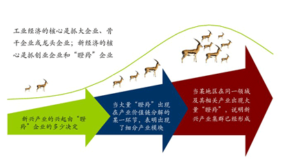 政企合作下的四不像图解读与落实策略探讨